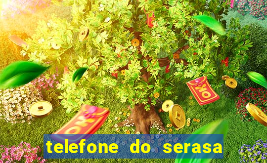 telefone do serasa salvador bahia